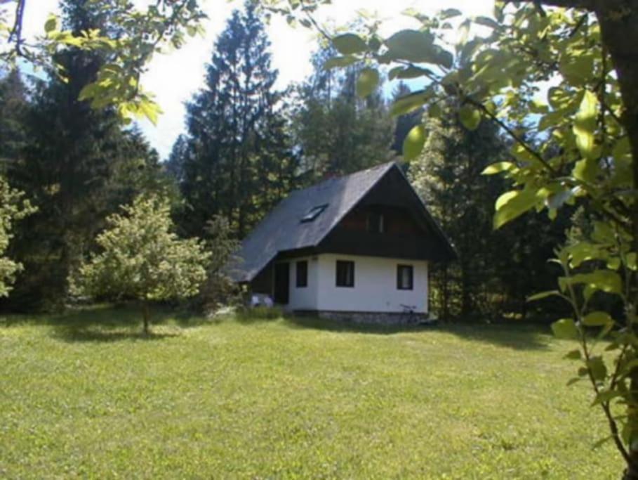 Apartment Lake Bohinj No. 5 المظهر الخارجي الصورة