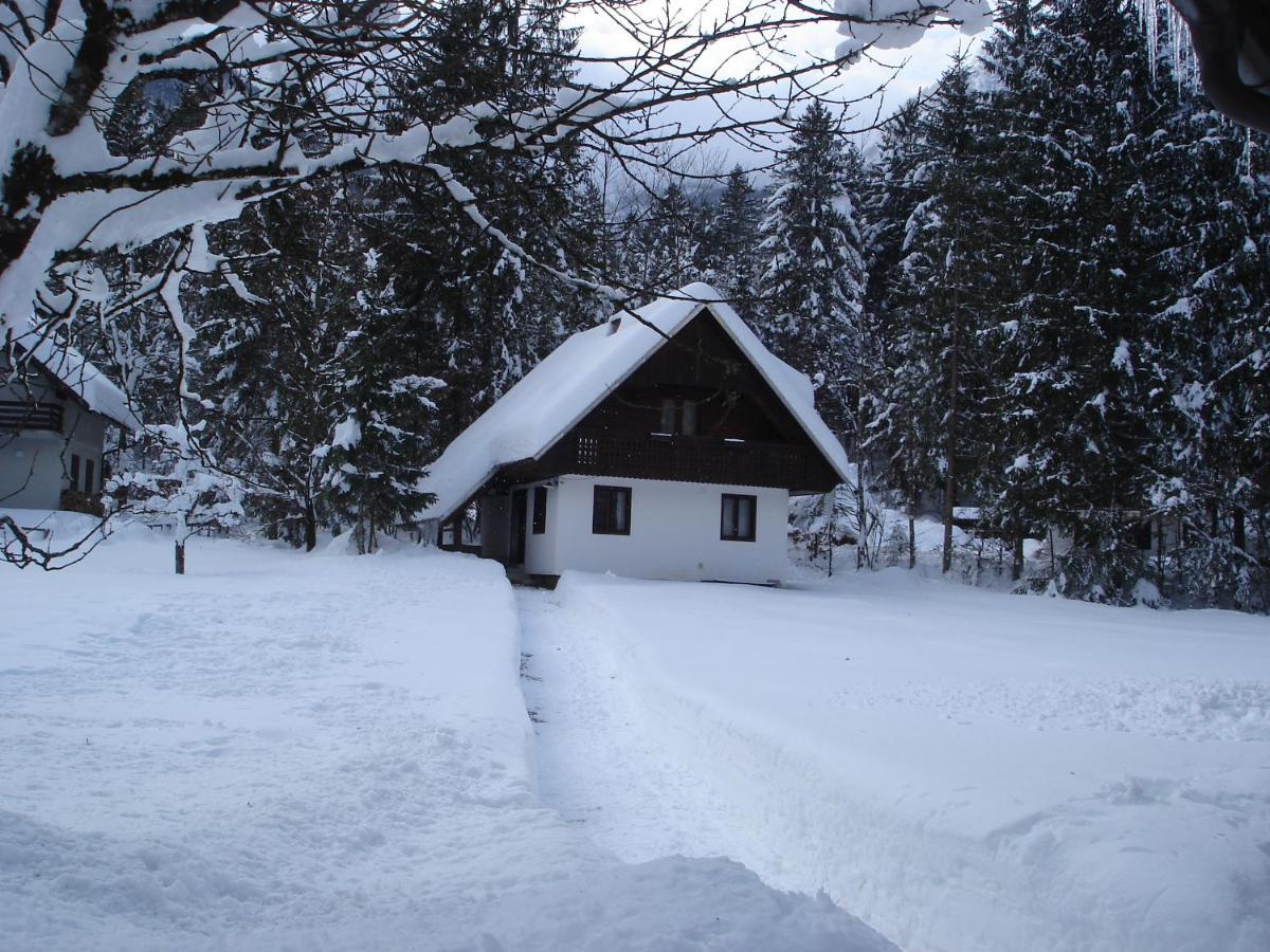 Apartment Lake Bohinj No. 5 المظهر الخارجي الصورة