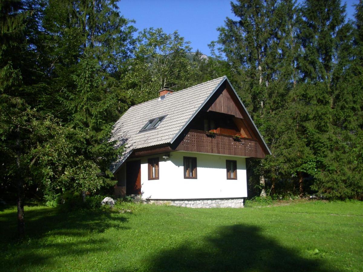 Apartment Lake Bohinj No. 5 المظهر الخارجي الصورة
